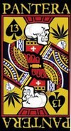Pantera Beach Towel