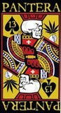 Pantera Beach Towel